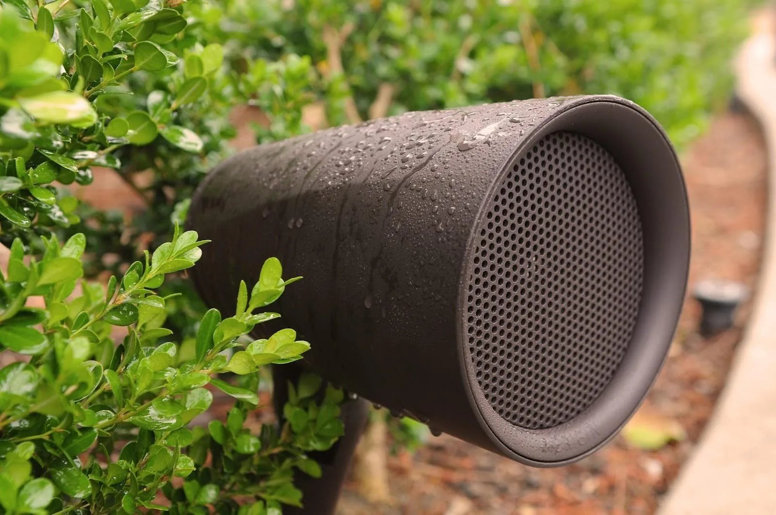 Dark cylindrical landscape speaker beaded with rain, set among hedge leaves beside a garden path